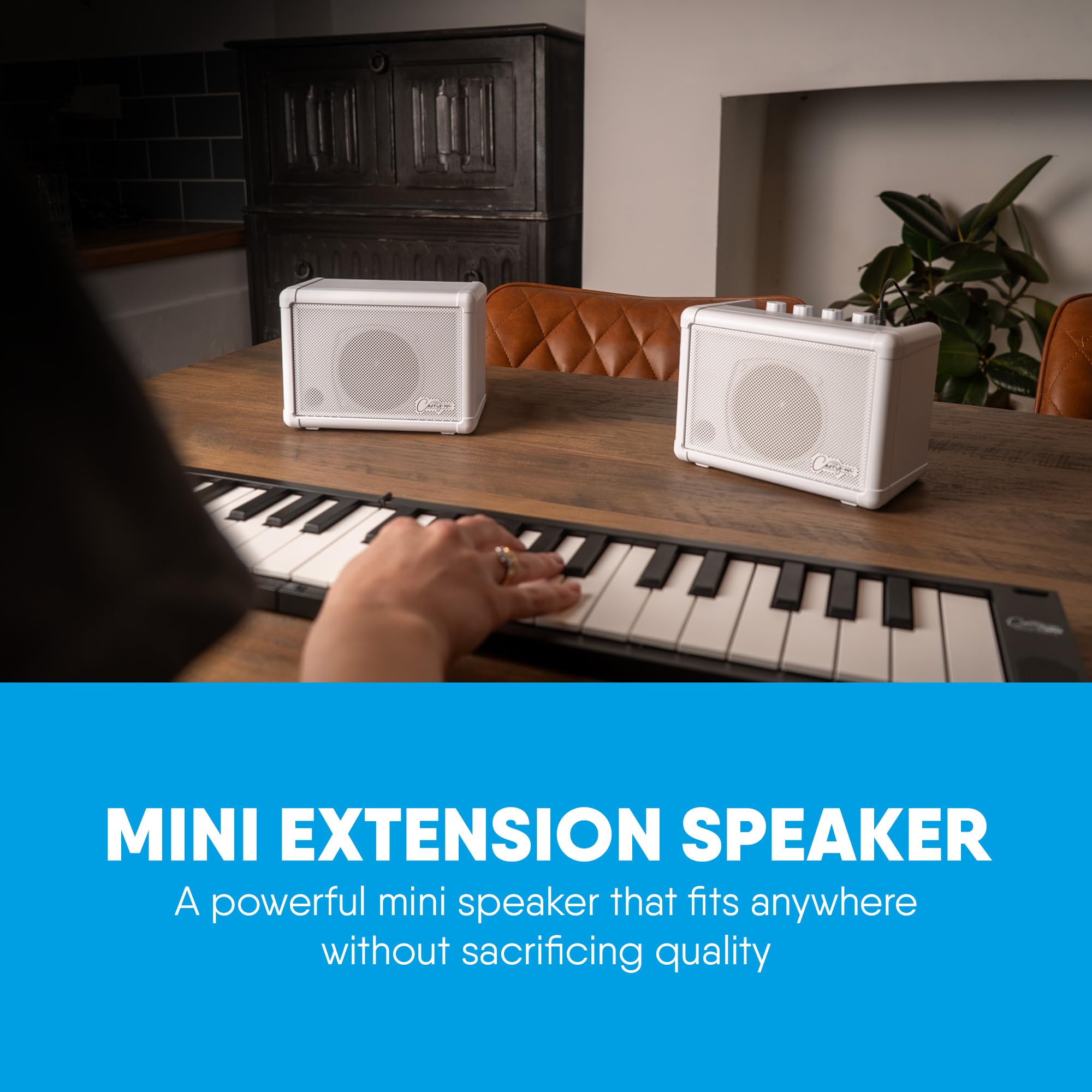 Carry-on Mini altoparlante di estensione da 3 Watt Mini altoparlante compatto 3 Watt mini amplificatore combinato portatile