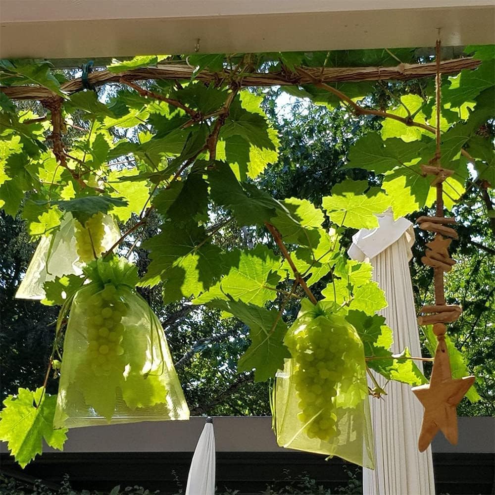 100 Piezas Bolsas De Protección De Frutas,Bolsas Protectoras De Uvas,Bolsas Protectoras para Fruta