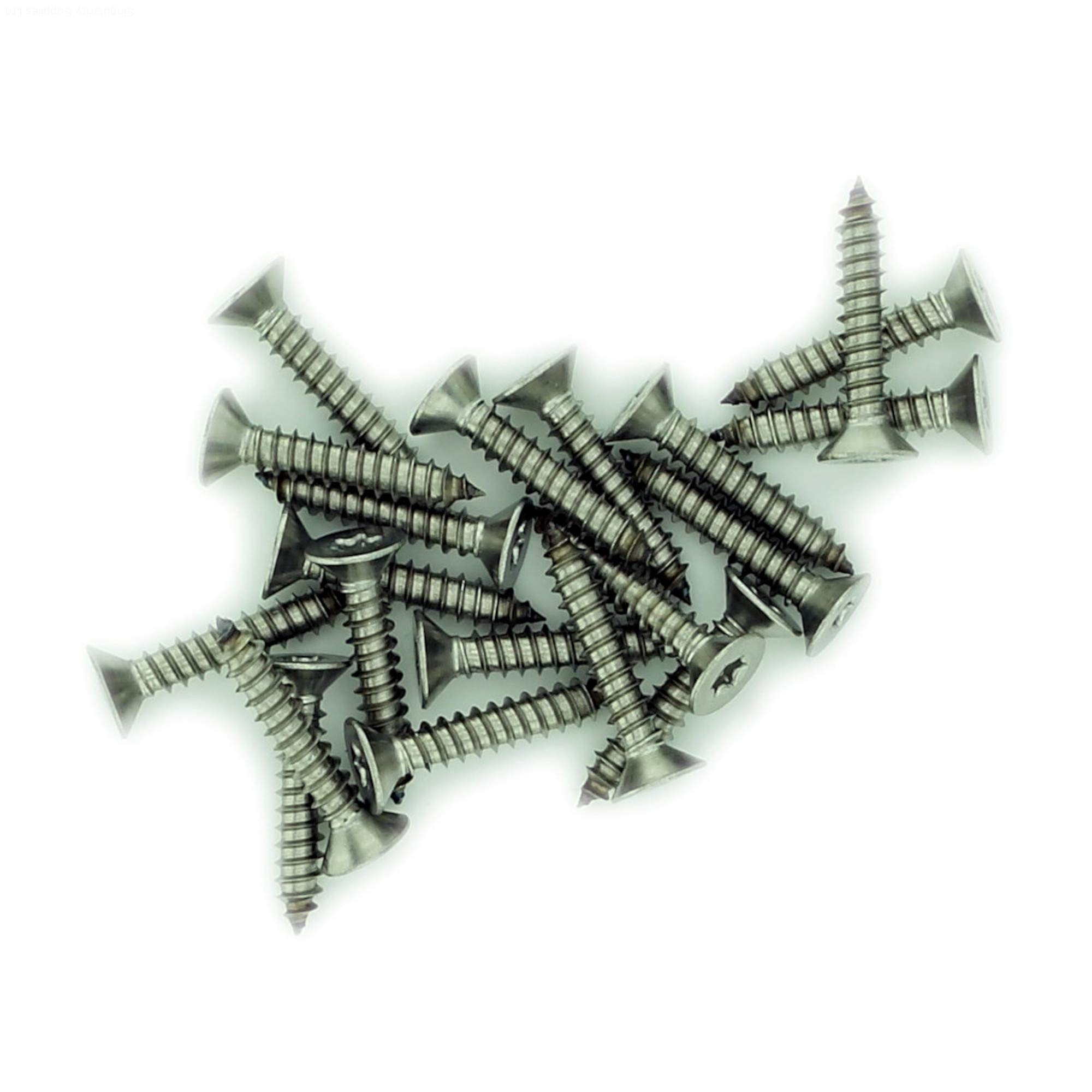 Singularity Supplies Silver No.10 X 0.75 (4.8Mm X 19Mm) Tx Countersunk Self-Tapping Screw - Stainless Steel (A2) (Pack Of 20)