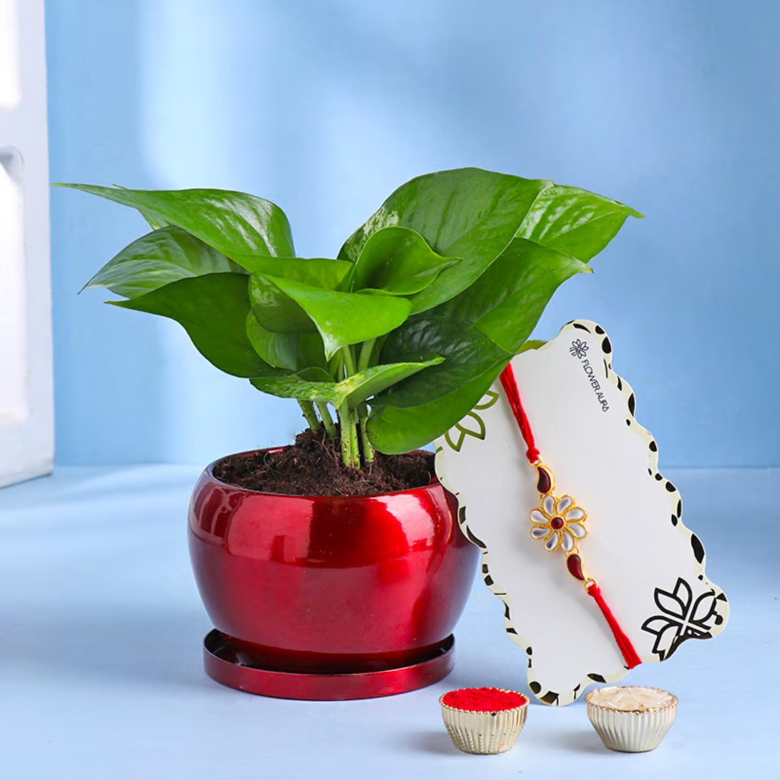 FlowerAura Raksha Bandhan Celebrations Elegant Kundan Rakhi With Air Purifying Live Indoor Green Money Plant In Metal Pot - Rakhi for Brother, Bhai, Cousins & Raksha Bandhan Gift (B0DB8GTKXC) Amazon Price History, Amazon Price Tracker