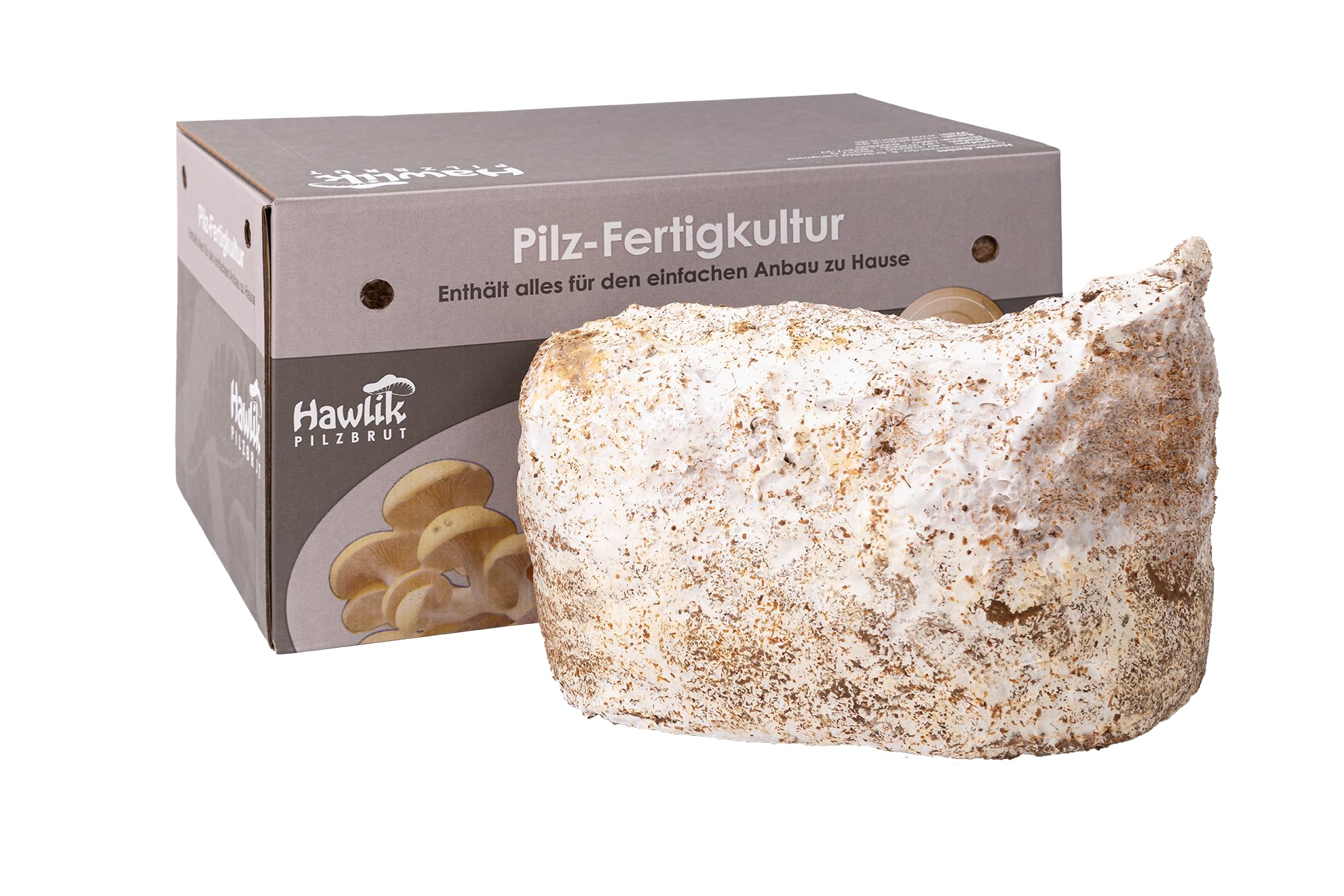 Hawlik Pilzbrut - Pholiote Nameko Kit de culture de champignons Biologique - Facile à cultiver soi-même – Kit de culture prêt a pousser pour la maison – Kit champignon à faire pousser avec mycélium