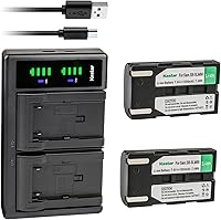 Vista 1 de Kastar Paquete de 2 baterías SB-LSM80 y cargador USB LTD2 de repuesto para Samsung SC-D263 SC-D351 SC-D352 SC-D353 SC-D354 SC-D355 SC-D357 SC-D362