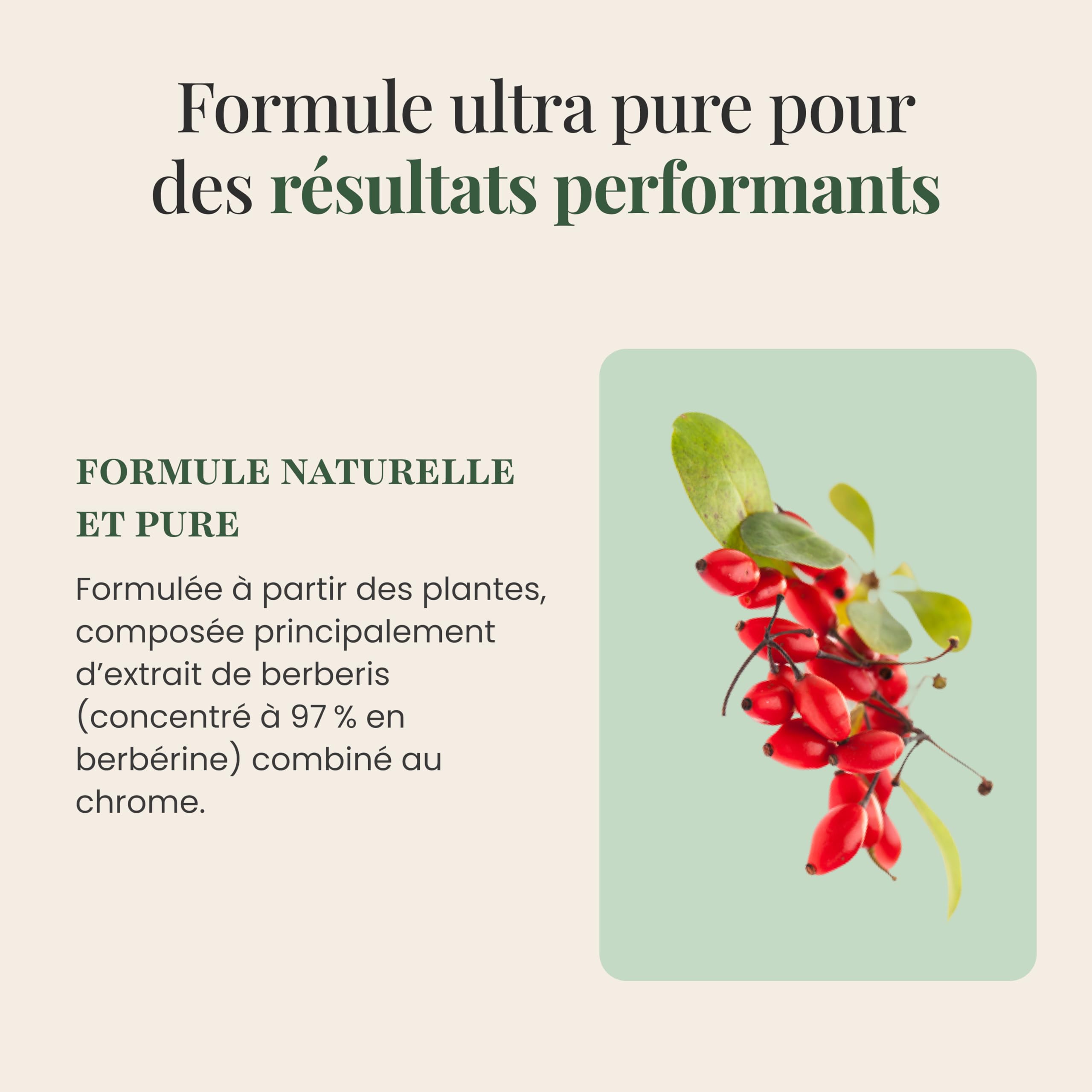 SFB Laboratoires Berbérine BIO 1200mg Haute Qualité, Chrome - Minceur et Régulation du Sucre, Soutient la Digestion & Métabolisme - Extrait Naturel - 3 mois traitement - 150 Gélules