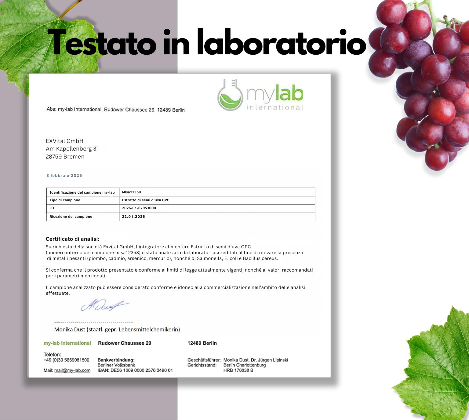 EXVital® OPC Estratto di semi d'uva - 240 capsule - dosaggio elevato con 500 mg per capsula - da uve francesi - testato in laboratorio e vegano