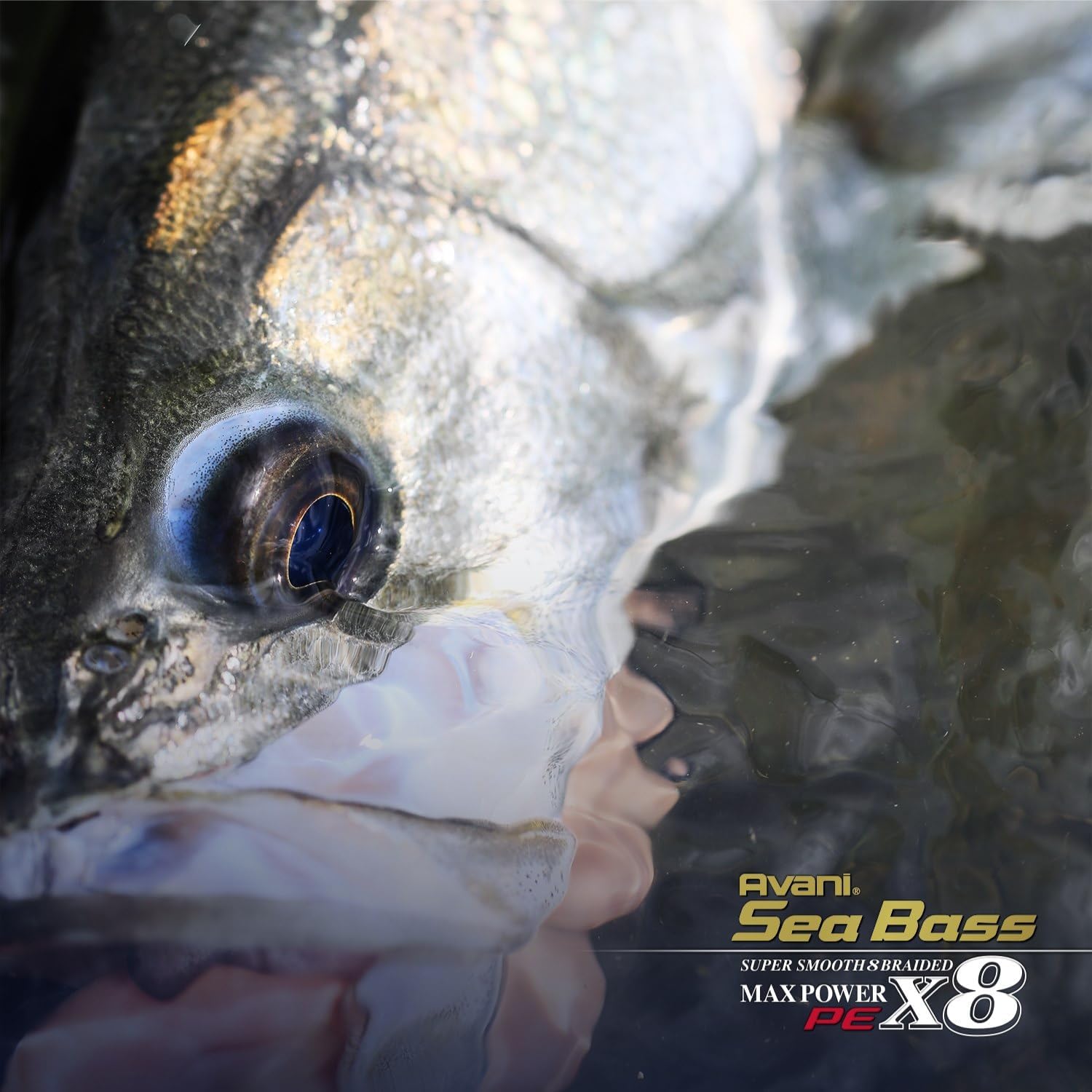 VARIVAS Avani Sea Bass Max Power PE x8