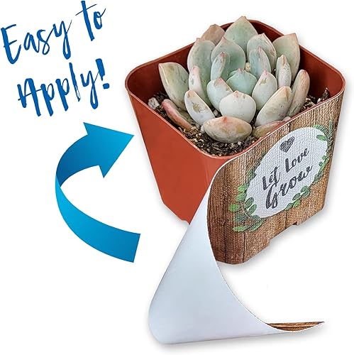 Miniatura 2 de Envolturas para macetas de suculentas para regalos de boda, baby shower o despedida de soltera, se adapta a macetas cuadradas de 2 pulgadas,