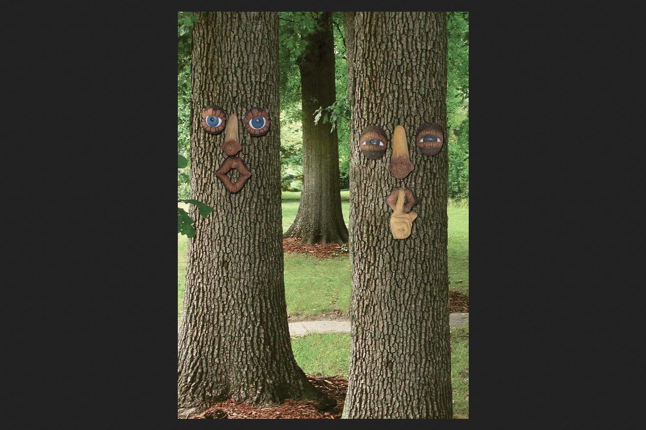 2539A Woods Decor Forest Faces (One Random Face)