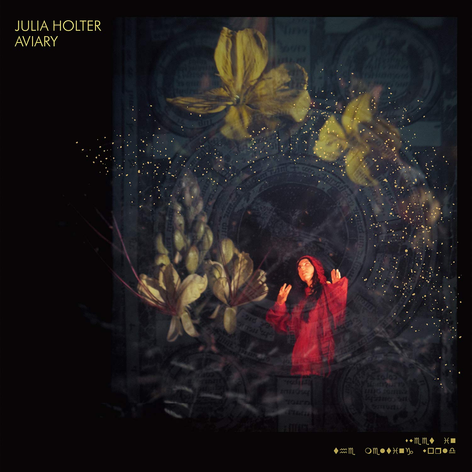 Julia Holter Aviary Double LP Vinyl WIGLP417 NEW