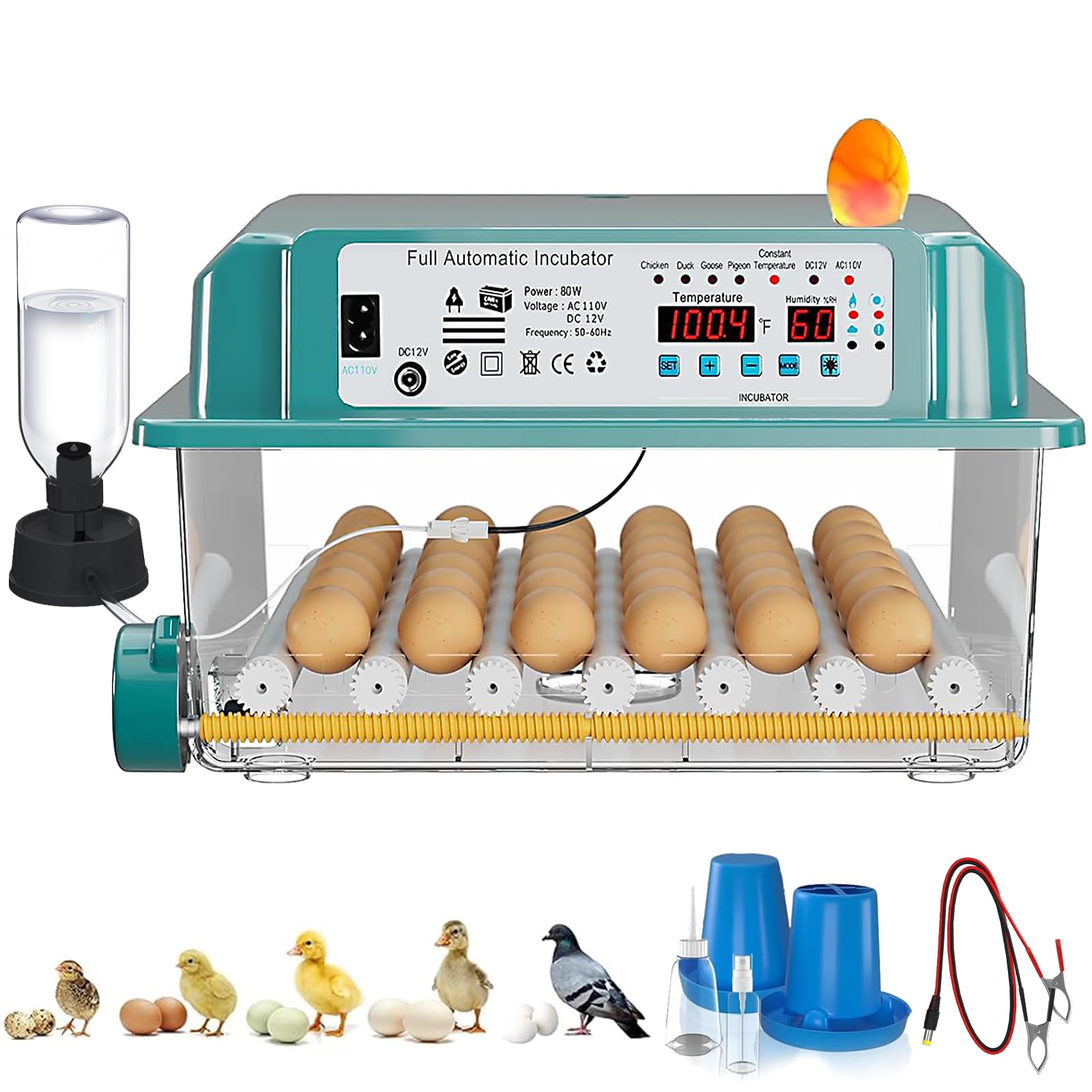 CoInceptus 36-Egg Incubator