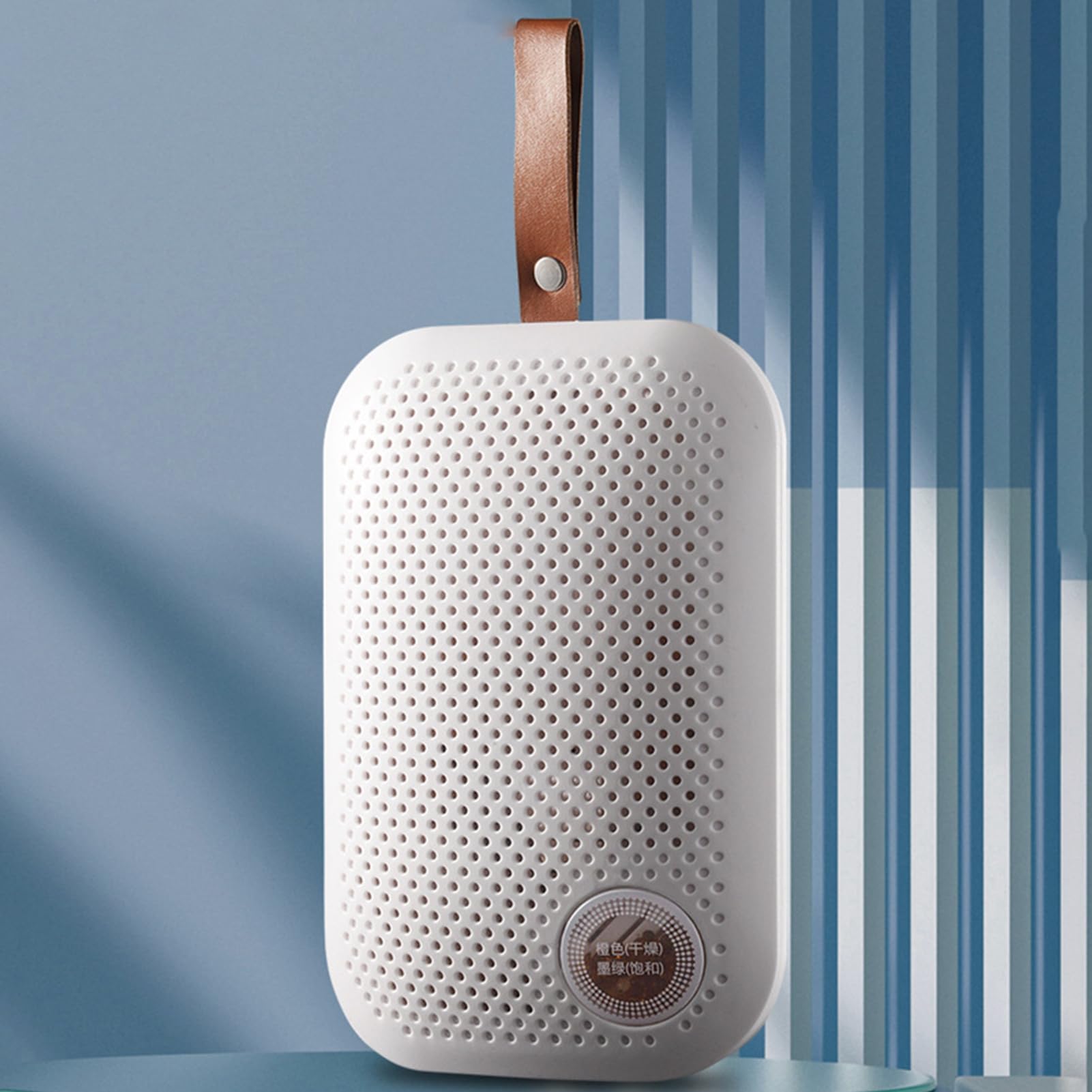Deumidificatore Mini Per Bagno Assorbitore di Umidità | Portatile e Silenzioso con Cordoncino Per Casa Interni Camera da Soggiorno Armadio