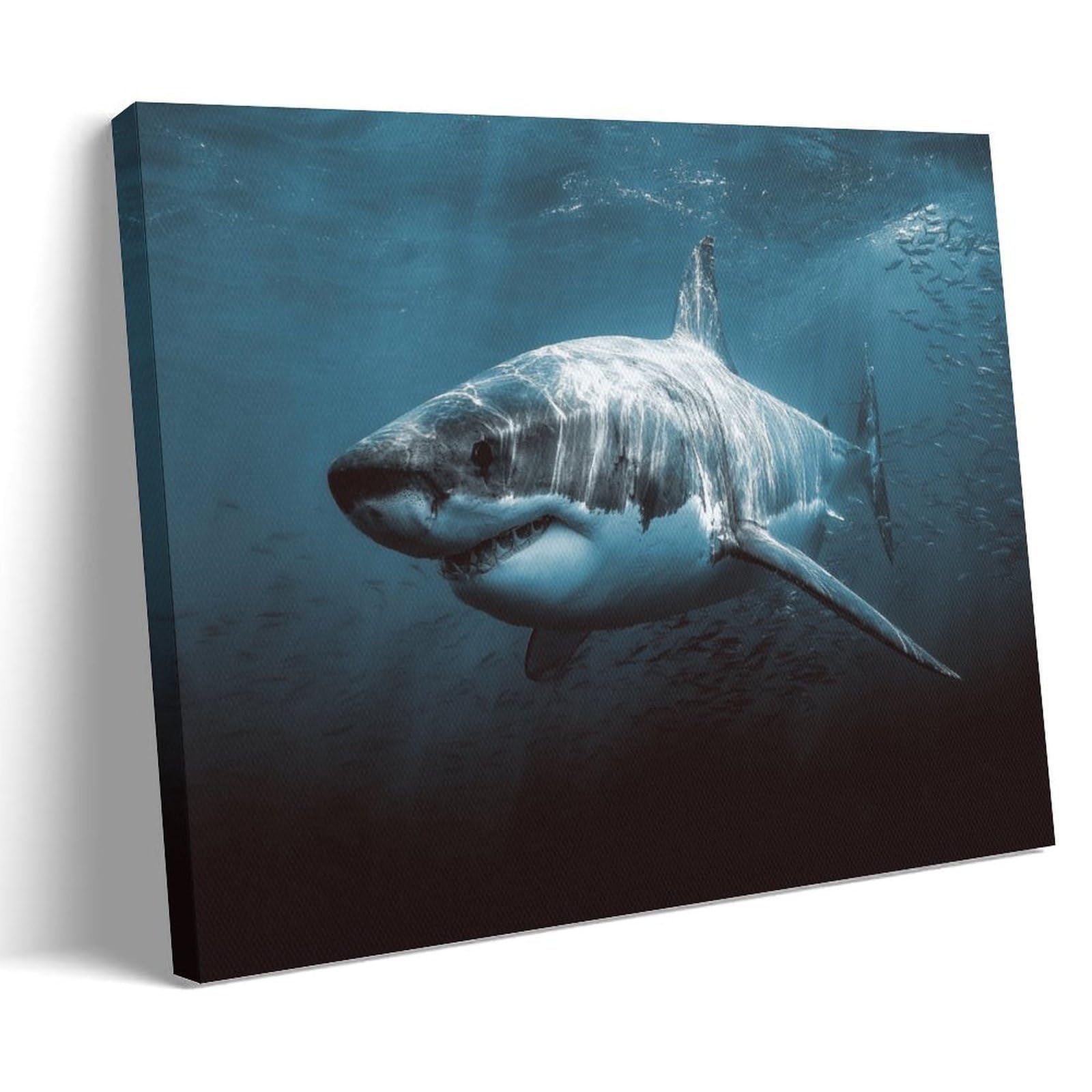 MLXFCGA Shark Animal Poster (3) Canvas Wall Art Prints for Wall Decor Room Decor Bedroom Decor Gifts 24x36inch(60x90cm) Frame-style