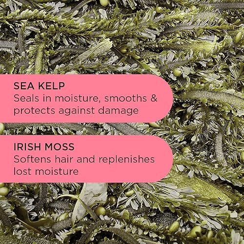 Miniatura 6 de Noughty Jalea, 97% natural Hey Curl Scrunching Jalea, fórmula hidratante para control del encrespamiento para cabello rizado y ondulado con algas