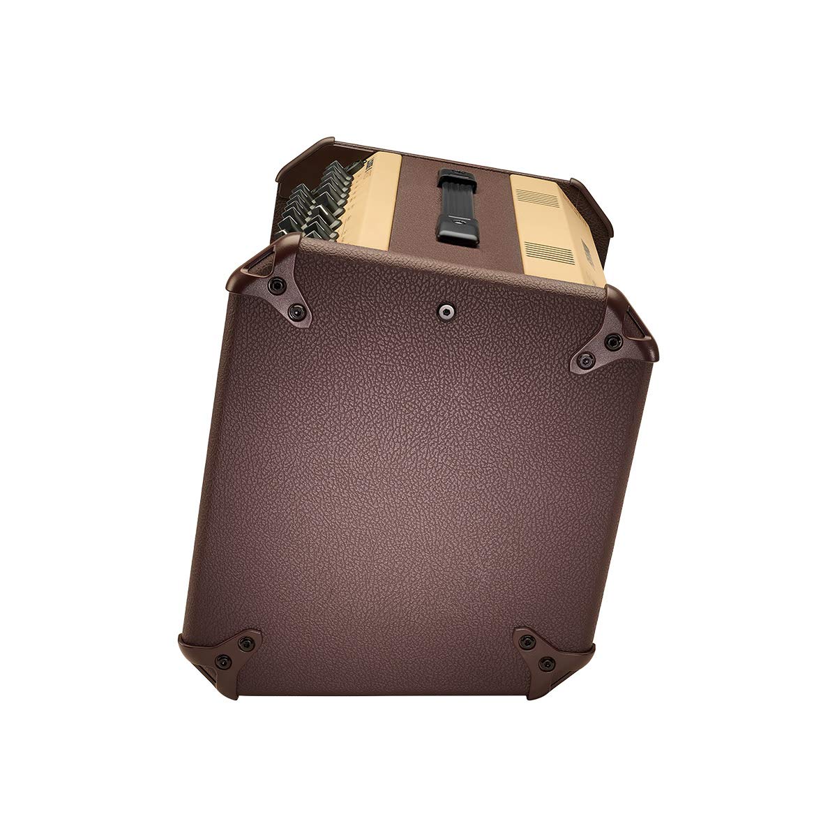 Amazon.co.jp: FISHMAN PRO-LBT-JA6 エレアコ用ギターアンプ Loudbox 