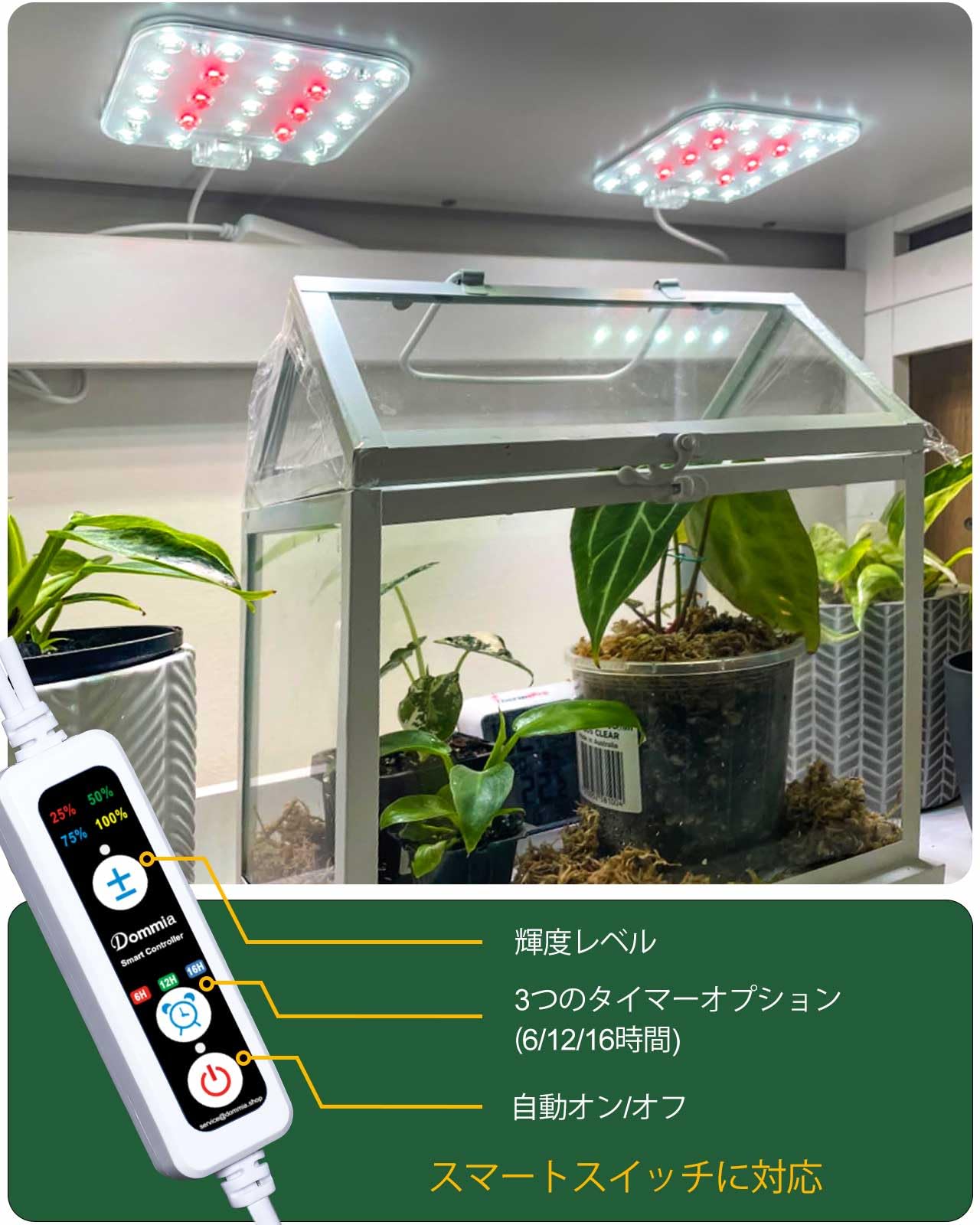 Amazon.co.jp: DOMMIA成長灯、3セットのナチュラルホワイト、調光可能