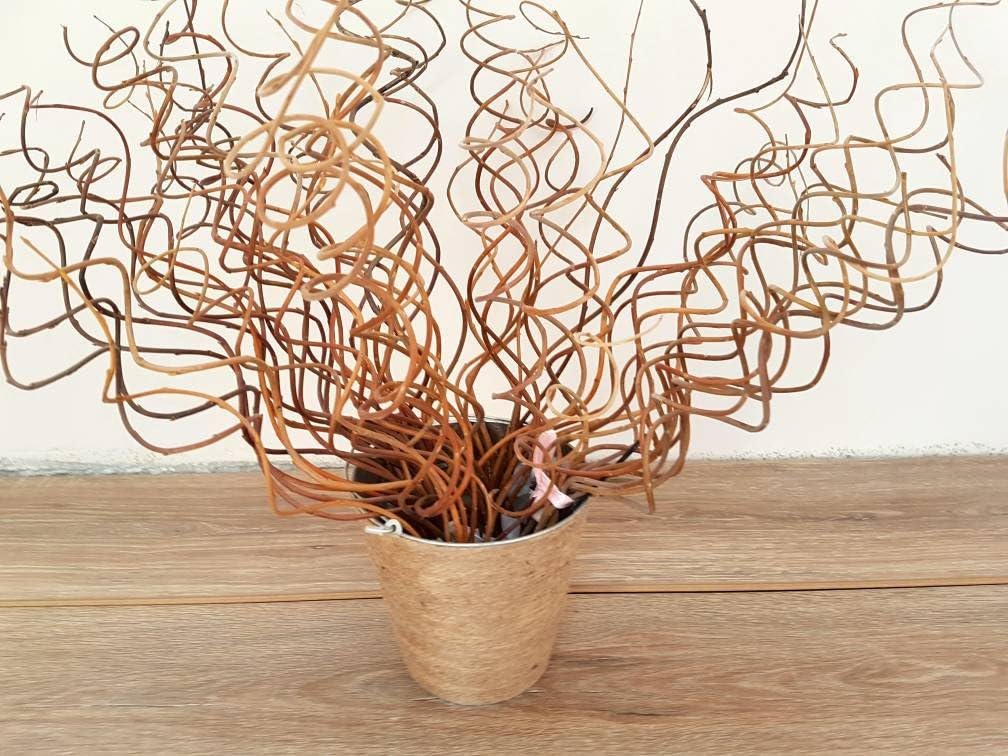 Curly Willow Branches for vases, Curly Willow,Natural Willow, Wedding Supply,Curly Branch,Curly Twigs,Dried Willow,Decorative Branches - Set of 25 Branches