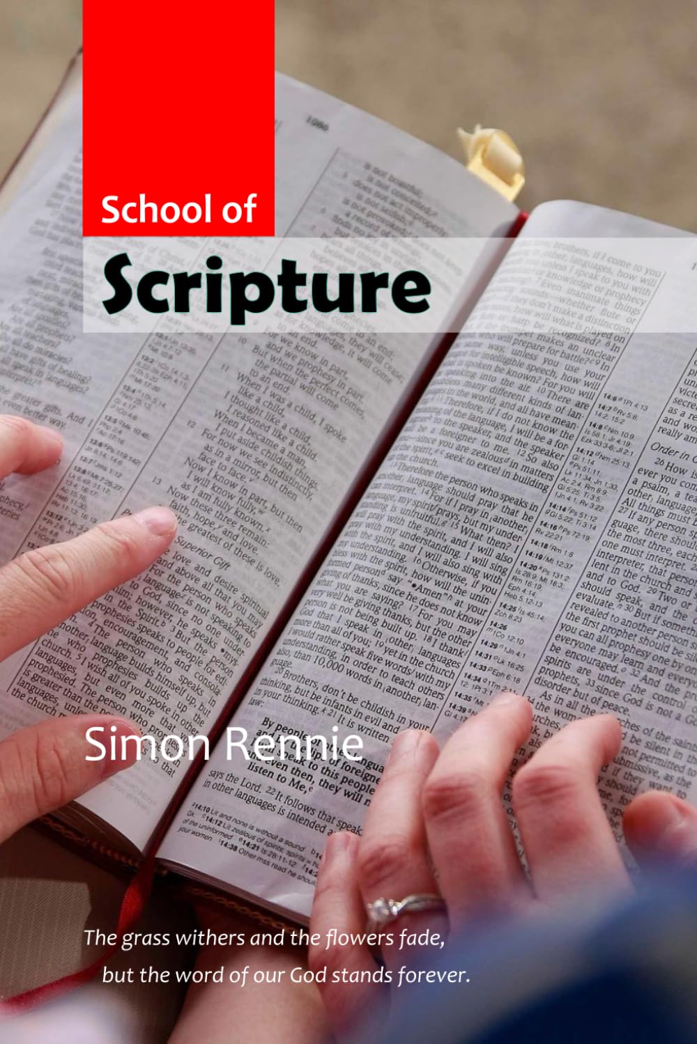 School of Scripture (Kingdom Academy)