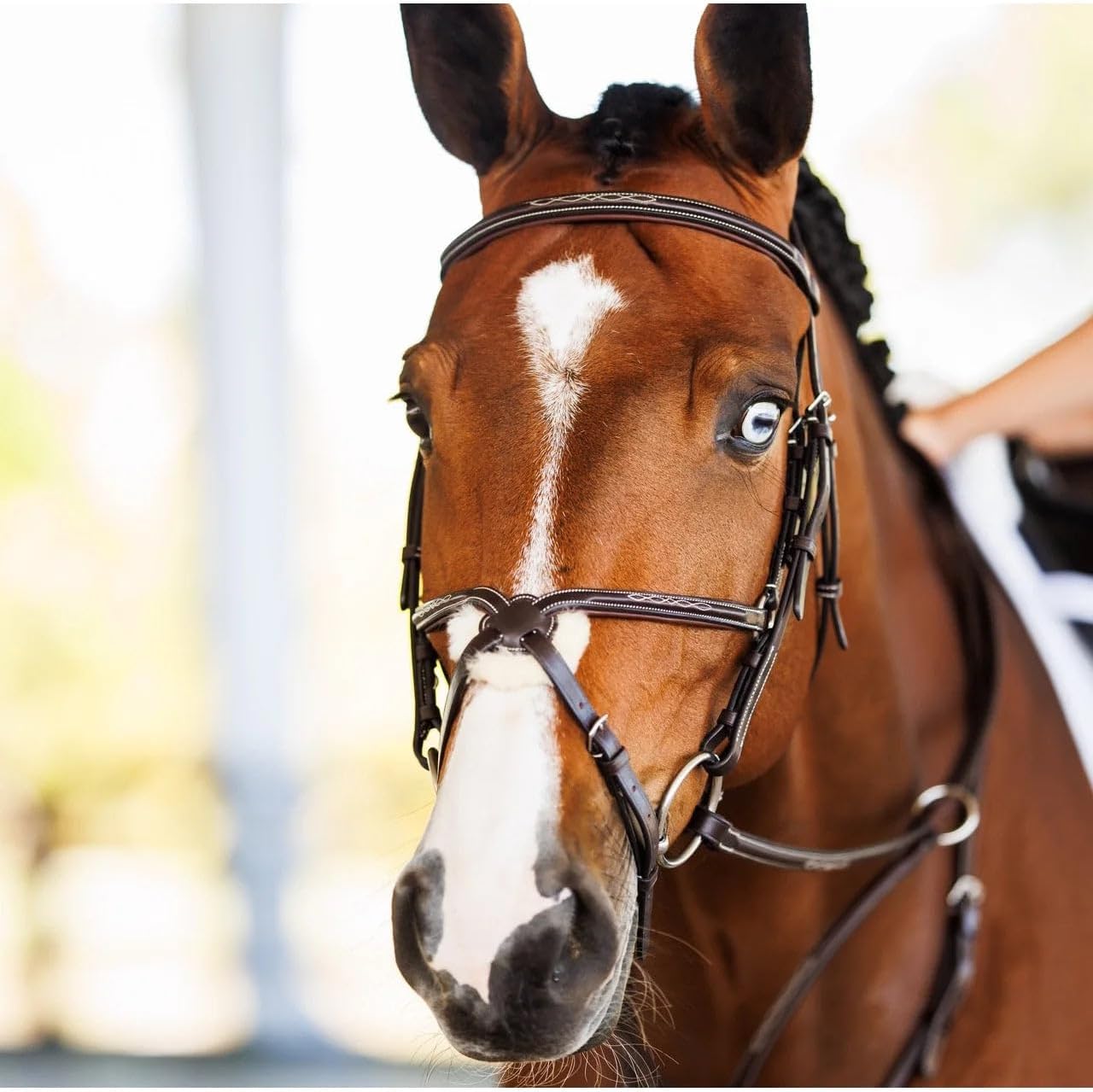 Shires Velociti LUSSO Fancy Raised Padded Figure 8 Bridle with Fancy Raised Rubber Reins