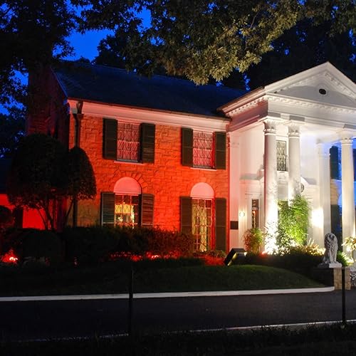 Miniatura 6 de Explux - Bombillas LED de vidrio completo PAR38 resistentes al aire libre, equivalente a 120 W, resistente a la intemperie y antienvejecimiento,