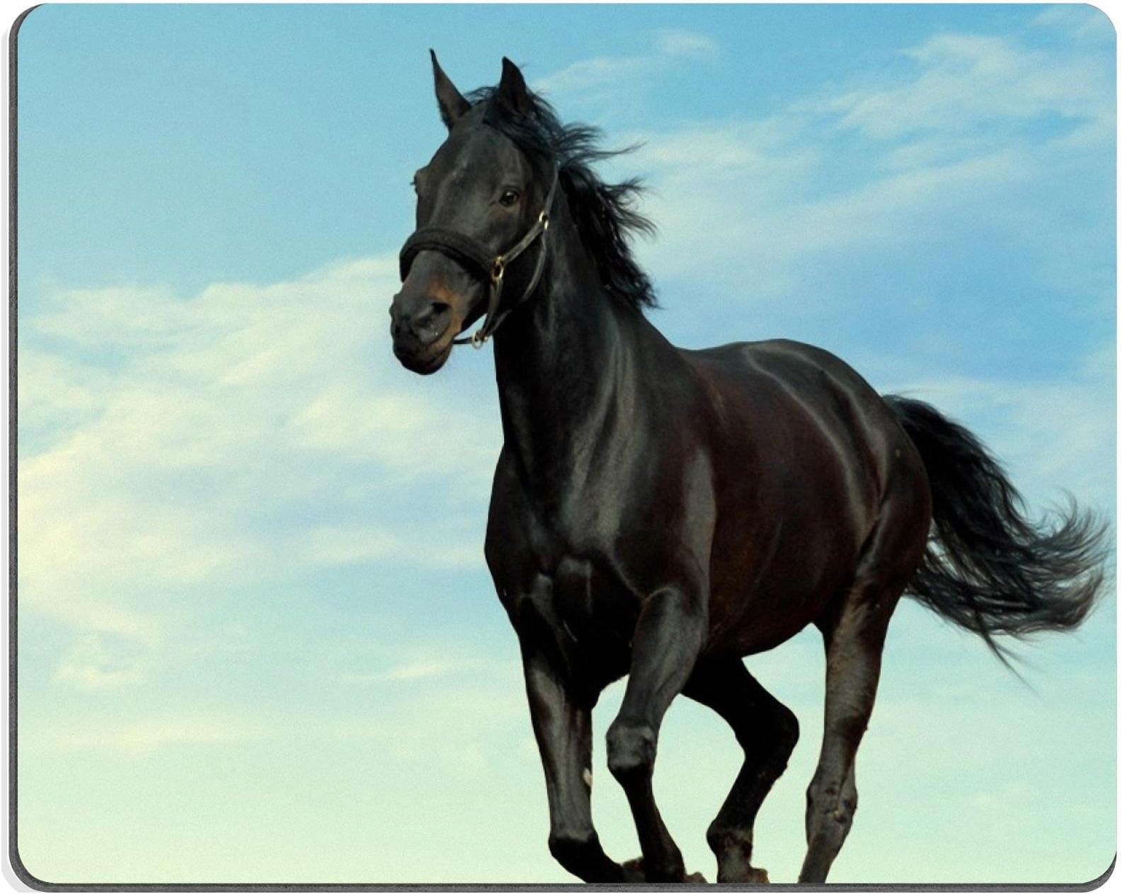 Animal Black Horse Clouds Sunshine Alone Gallop Mouse Pads Customized Made to Order Support Ready 9 7/8 Inch (250mm) X 7 7/8 Inch (200mm) X 1/16 Inch (2mm) Eco Friendly Cloth with Neoprene Rubber Luxlady Mouse Pad Desktop Mousepad Laptop Mousepads Comfortable Computer Mouse Mat Cute Gaming Mouse pad