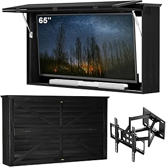 GDLF 65-Inch Outdoor TV Enclosure with Dual-Arm Mount