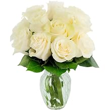 KaBloom - Bouquet of 12 Fresh White Roses Farm-Fresh, Long-Stem with Vase - Fresh Flowers for Birthday, Valentines & Mothers Day