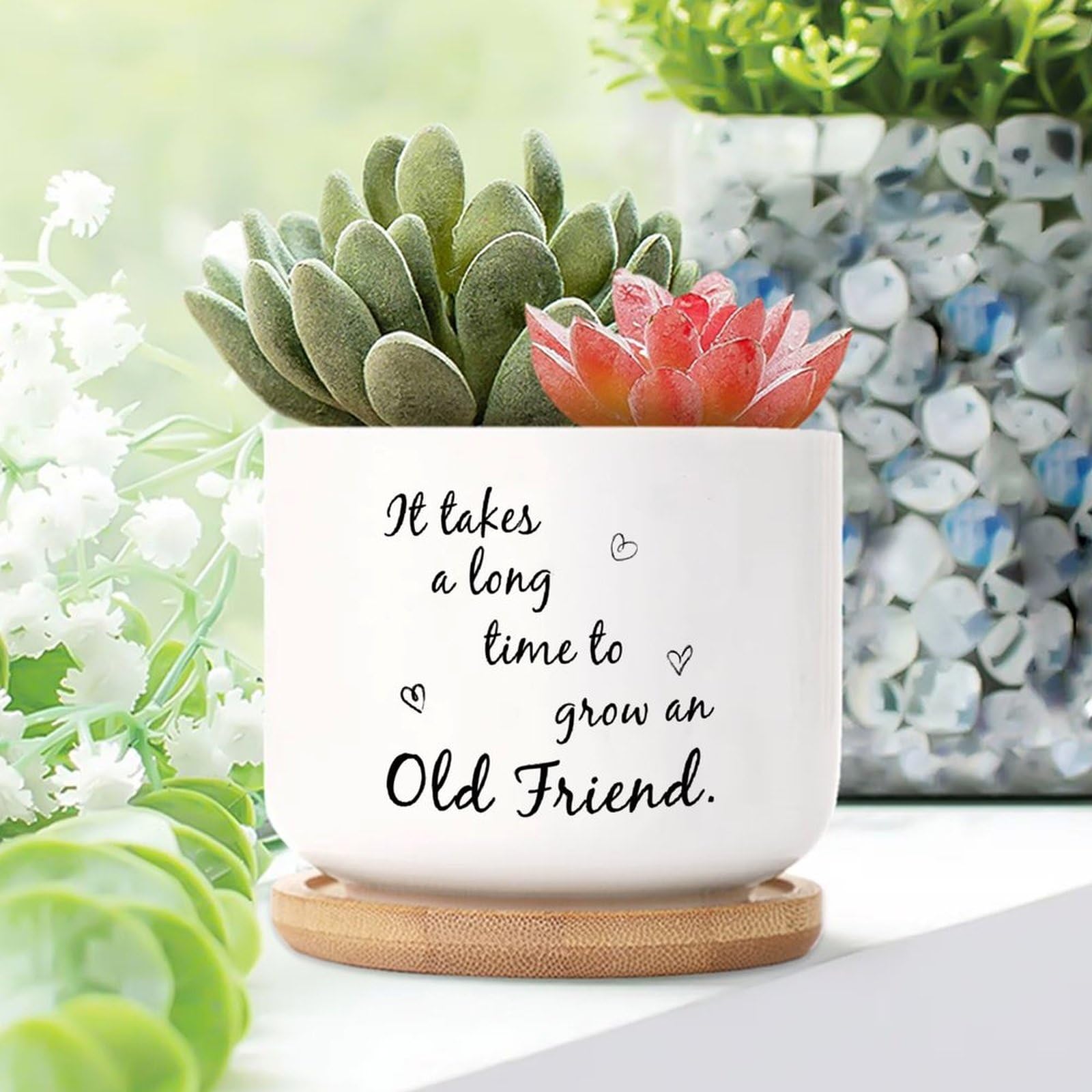 Yelolyio It Takes A Long Time to Grow An Old Friends Planters Ceramic Family Love Round Flower Pots With Drainage Holes And Bamboo Tray Pot For Outdoor Garden Home Plant