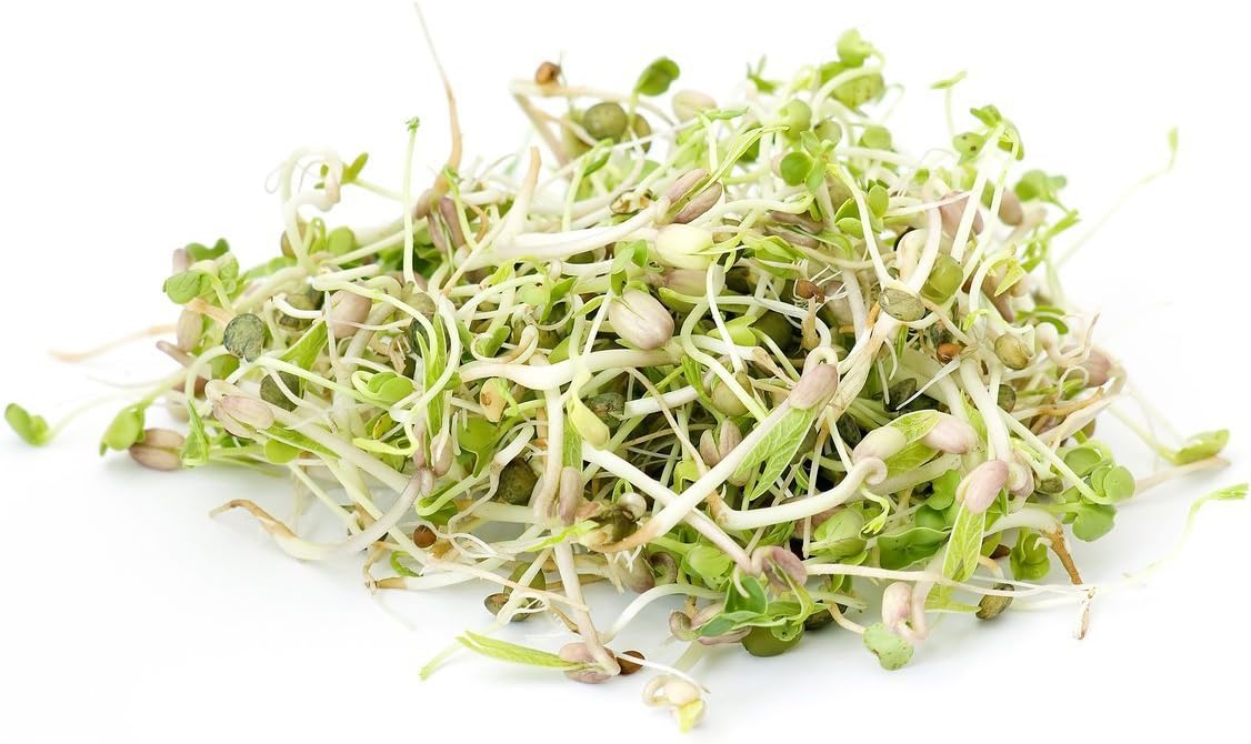 "COOL BEANS n SPROUTS" Brand, Arugula Seeds for Sprouting Microgreens ,8 Ounces, A superfood Packed with antioxidants and Health-Promoting nutrients. A Family Run USA Business, Jacobs Ladder Ent. : Grocery & Gourmet Food