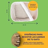 Ver la foto 4