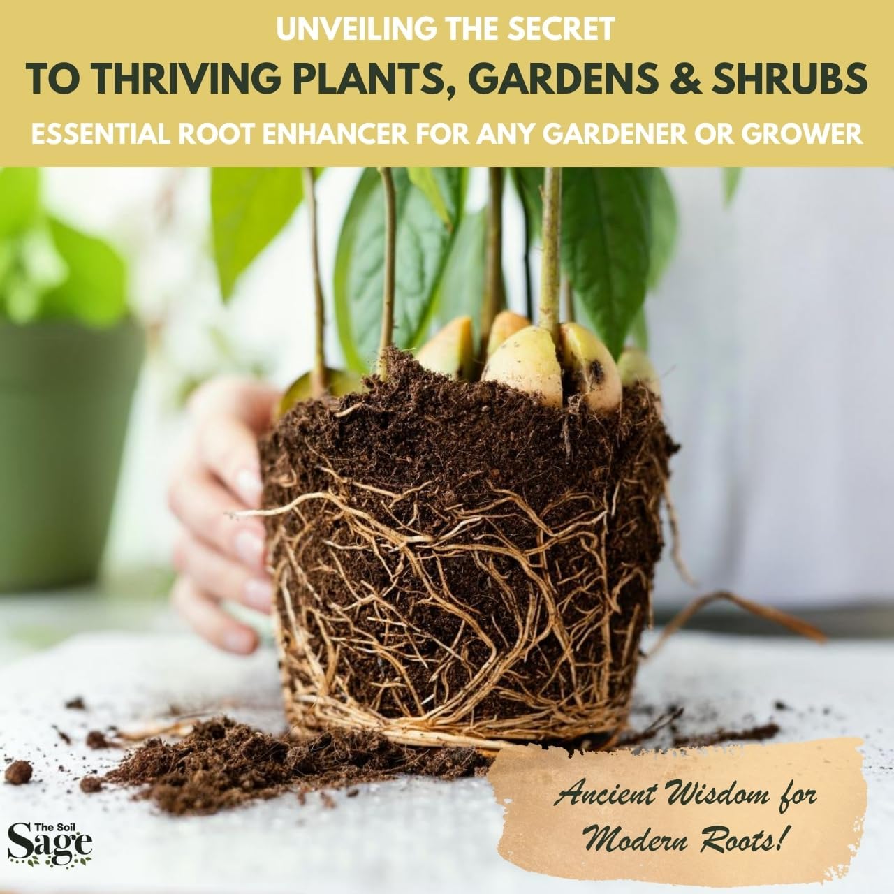 5 qt Premium Houseplant Soil & 10oz Mycorrhizae Powder Soil Booster - Ready to Use Potting Mix for Indoor Plants - U.S.A. Made Complete Nutrient-Rich Well-Draining Dirt - Coconut Coir, Composted Bark