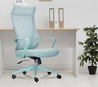 INNOWIN Flamingo High-Back Ergonomic Home Office Chair 3-Years Limited Warranty Included Tilting & Height Adjustable Mechanism, Heavy Duty Metal Base Ideal for Office Work & Study (Mint Green)