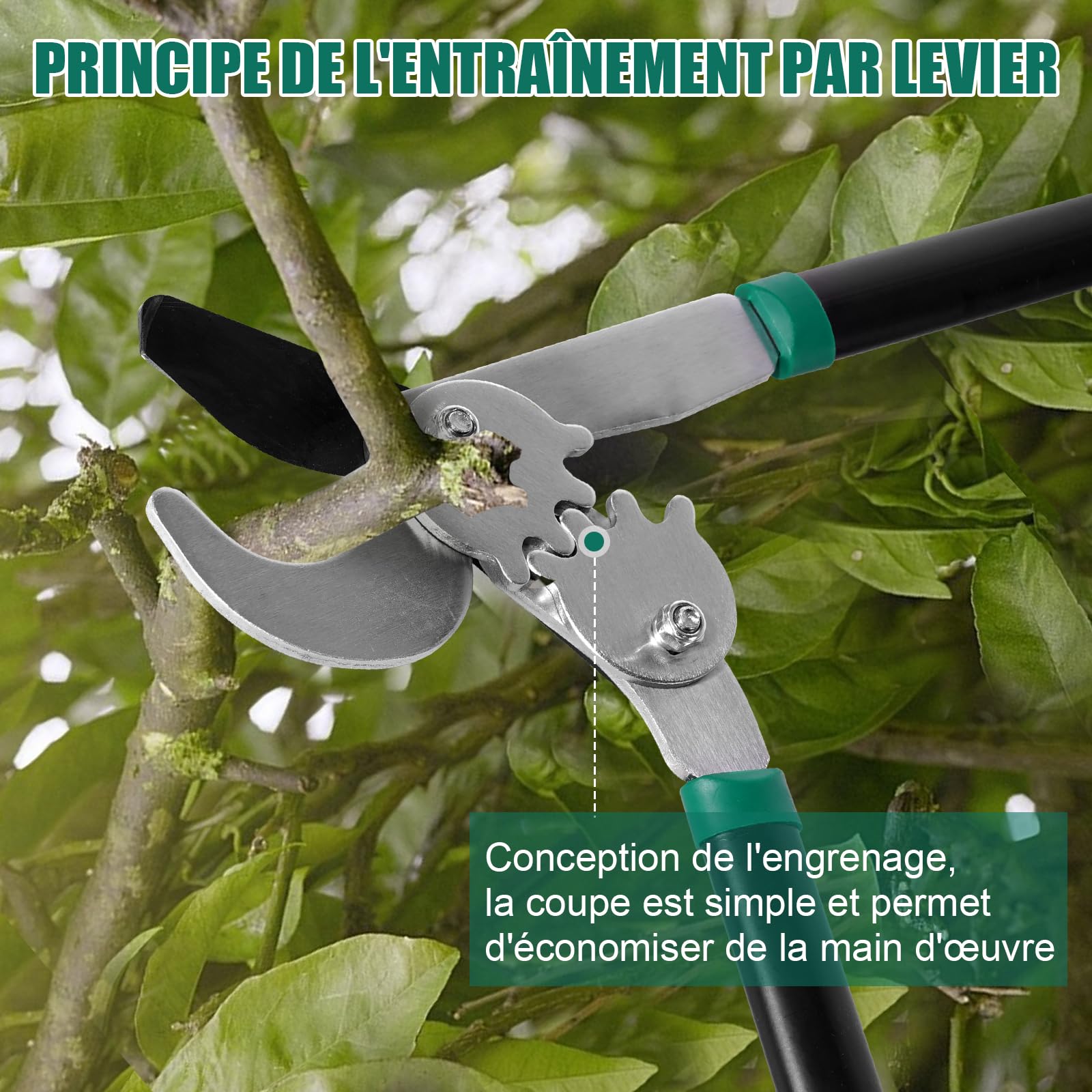 HYCHIKA Ébrancheur télescopique pour bois frais Coupe Branche 74CM, Sécateur Long Manche, Taille Branche, Cisaille de Jardin, Diamètre Cuts Ø50 mm max., Lames en Acier Trempé