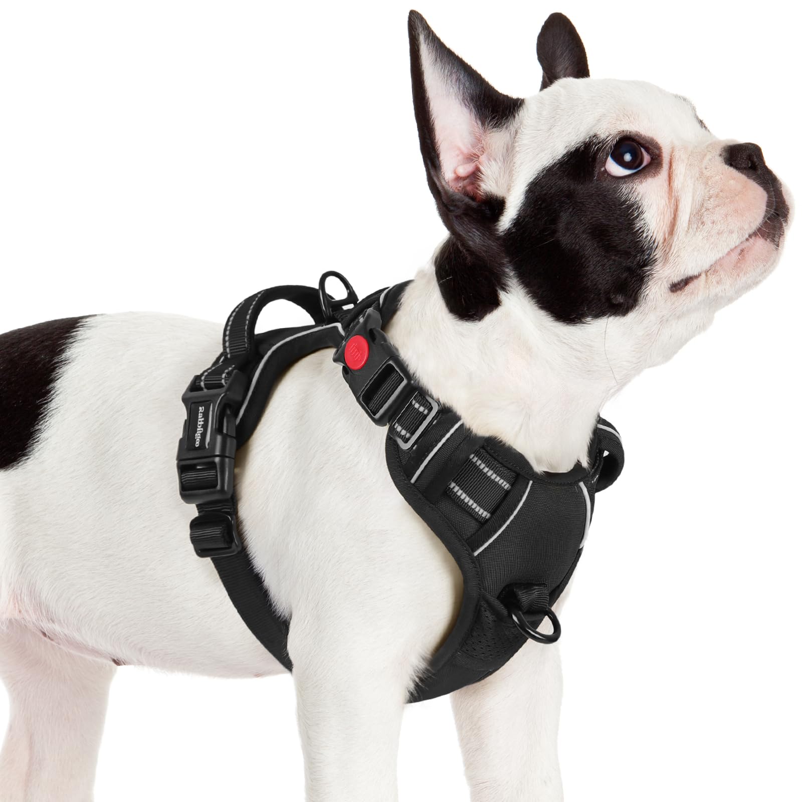 rabbitgoo Arnes Perro Pequeño con 3 Hebillas, Liberacion del Cuello, Arnes Perro Ajustable con Asa y Clip Frontal, Arnés Antitirones para Perros Reflectante para Adiestramiento Correr, Negro, S