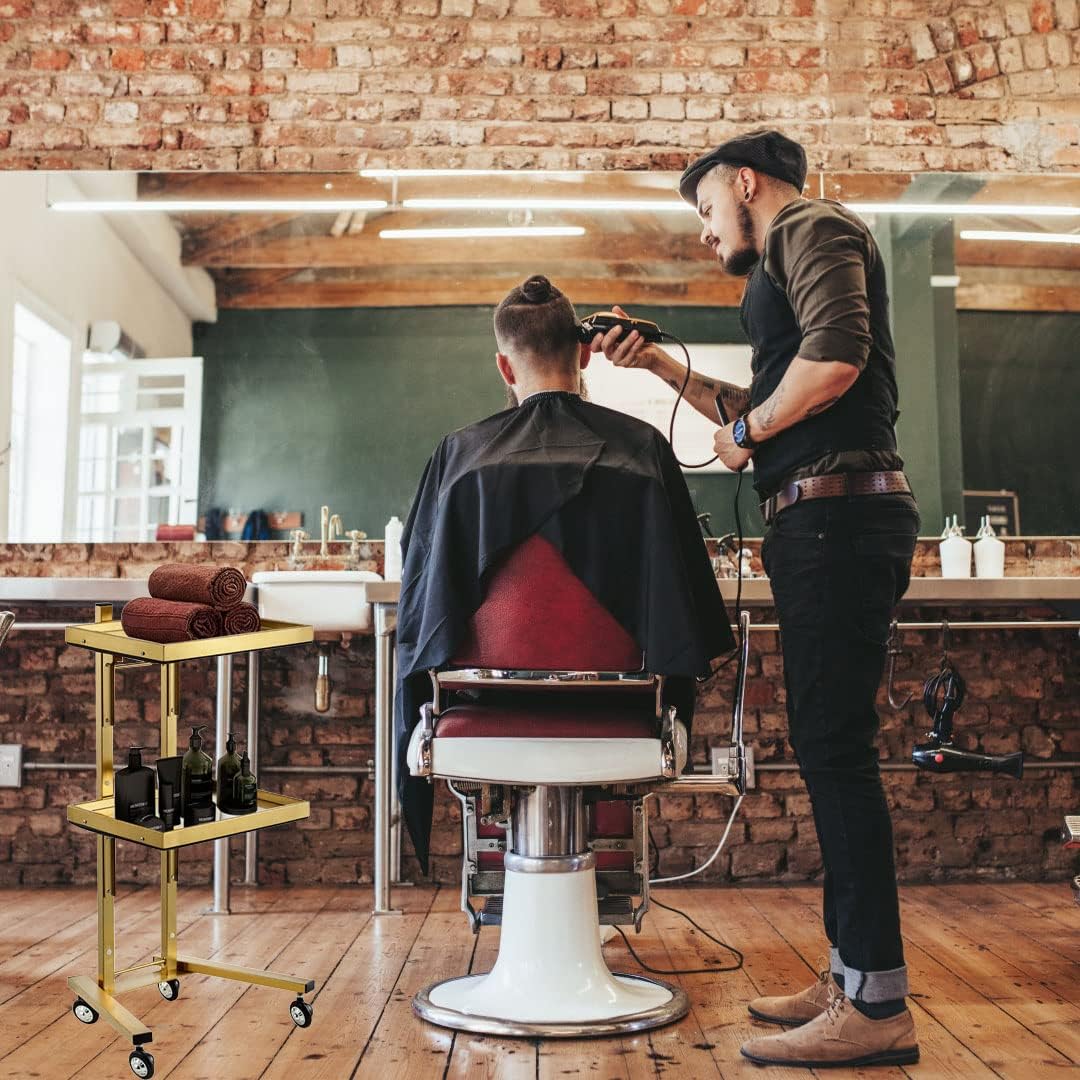 Golden 2-Tier Metal Rolling Cart - Stainless Steel Salon Storage Stand with Wheels, Trolley Tray, Kitchen Storage Trolley, Utility for Bedroom, Tattoo Shop