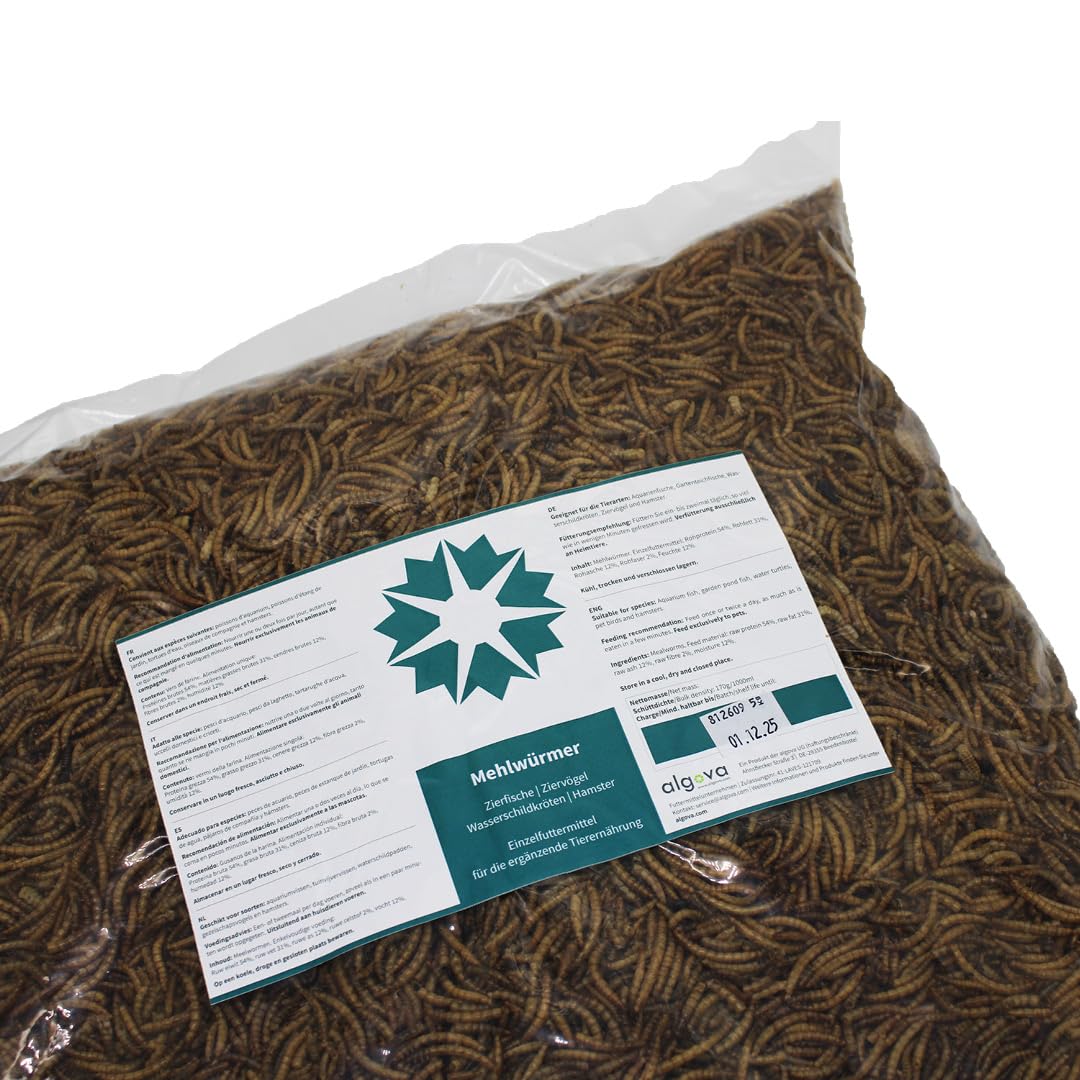 Suszone mączniki – naturalna karma dla owadów dla ryb ozdobnych, ptaków, żółwi, jeż (10 kg)