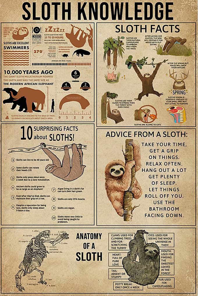 rayprint Animal Retro Poster Sloth Knowledge Metal Sign Wall Art Metal Plaque Retro Artwork For Club Restaurant Cafe Kitche Bedroom Garden Office Farmhouse Zoo Decor 12x16Inches