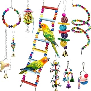 EBaokuup 10 Packs Bird Swing Chewing Toys- Parrot Hammock Bell Toys Parrot Cage Toy Bird Perch with Wood Beads Hanging for Small Parakeets, Cockatiels, Conures, Finches,Budgie,Parrots, Love Birds