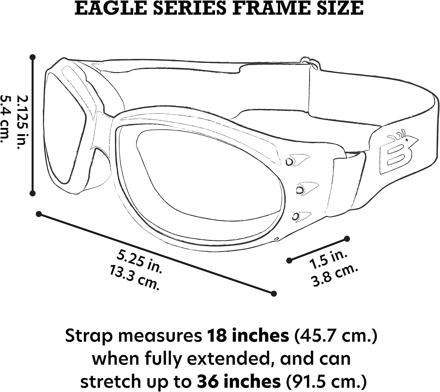 Birdz Eyewear Eagle Red Baron style Padded Motorcycle Riding Goggles Dirt Bike Goggles 2-Pack Clear & Smoke Day Night Airsoft