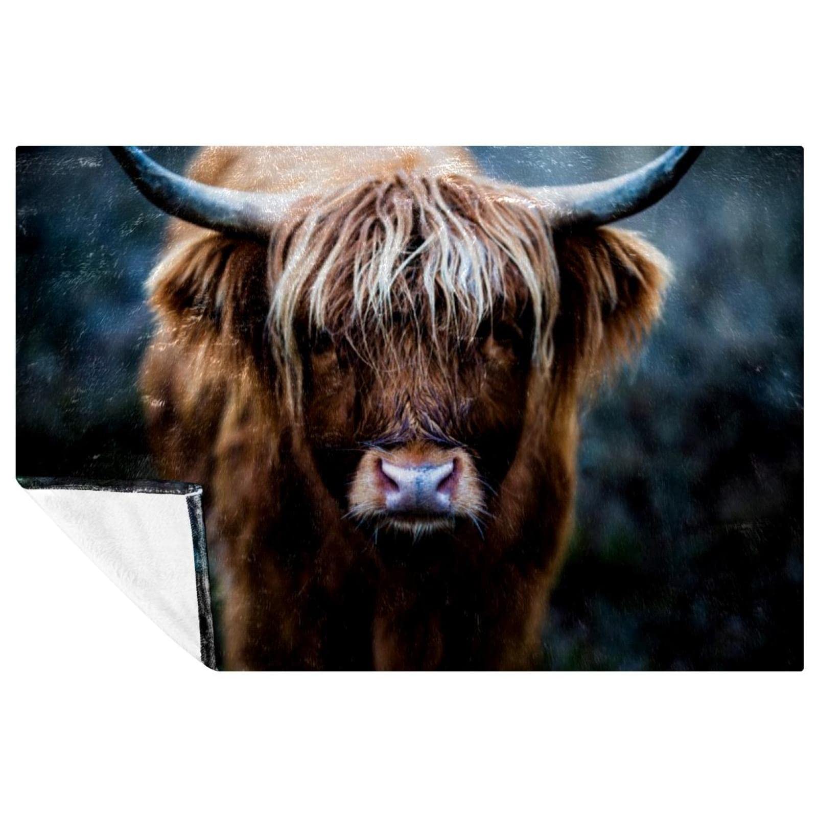 Couverture d'Écosse Highland Cow 150x100 cm douce et chaude pour lit et canapé