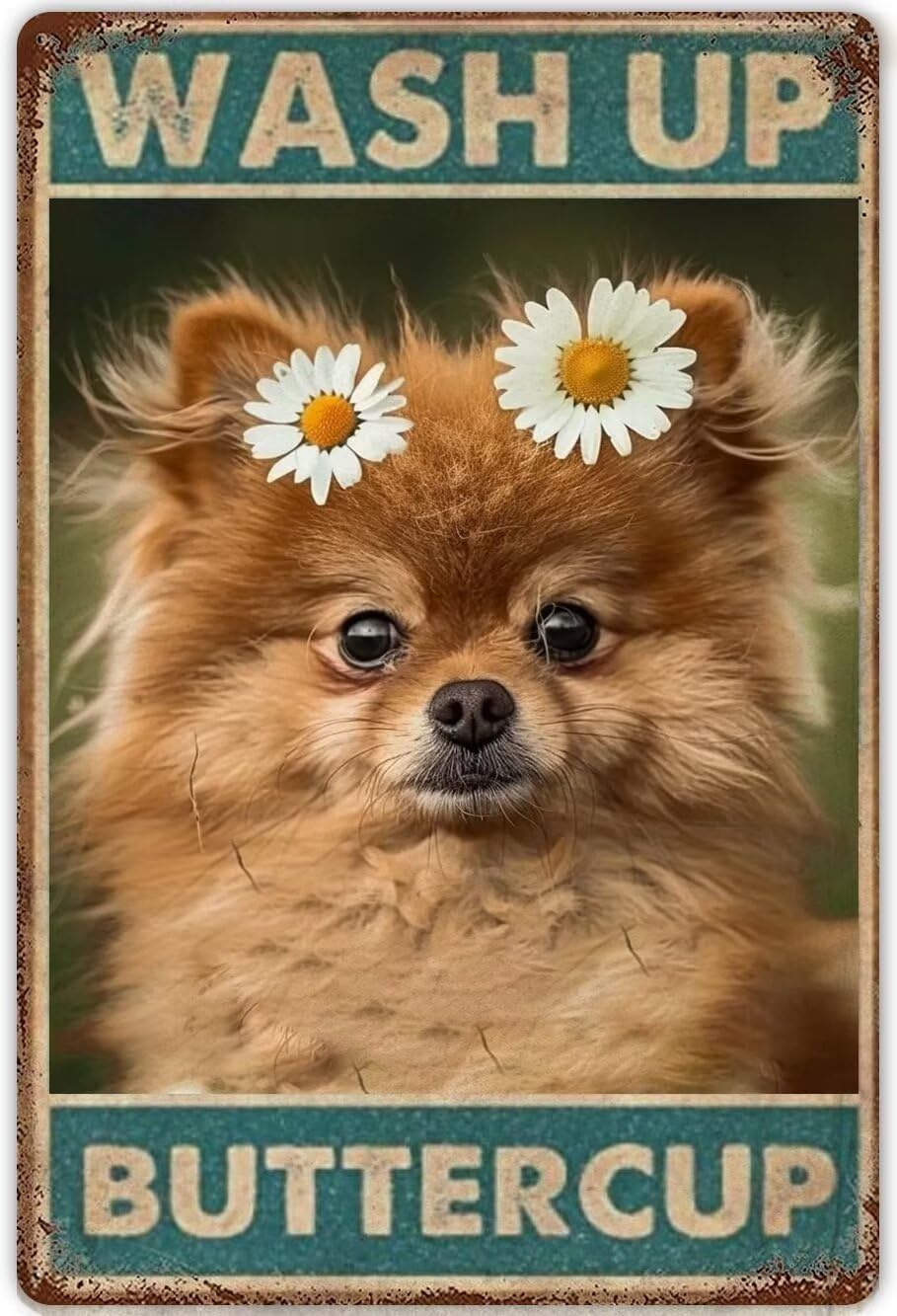 Anceky Pomeranian Funny Bathroom Decor Paintings Canvas Wall Art Wash Up Buttercup Poster Modern Art Prints Canvas Retro Wall Decor Club Bar People Cave Gym Decor Unframed 20x30 Inch