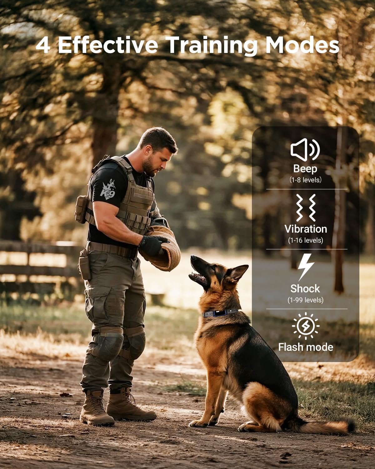 Unleash Training Success: Review of the BLACKDOG Military Shock Collar