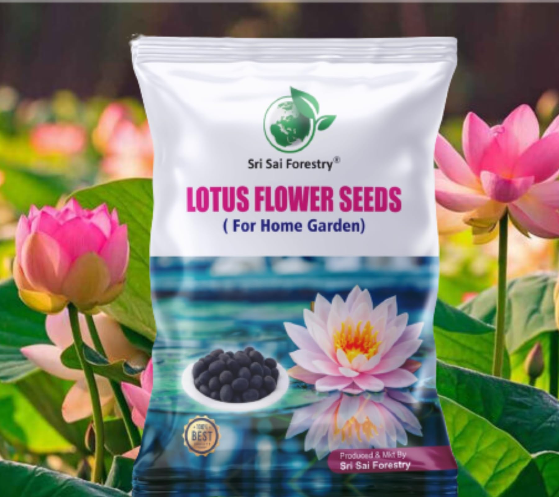 SRI SAI FORESTRY Lotus Seeds for Planting in Water | Kamal Flower Seeds | Lotus Seeds for Planting in Pond - Pack of 20 (B0CDTL6ZTK) Amazon Price History, Amazon Price Tracker