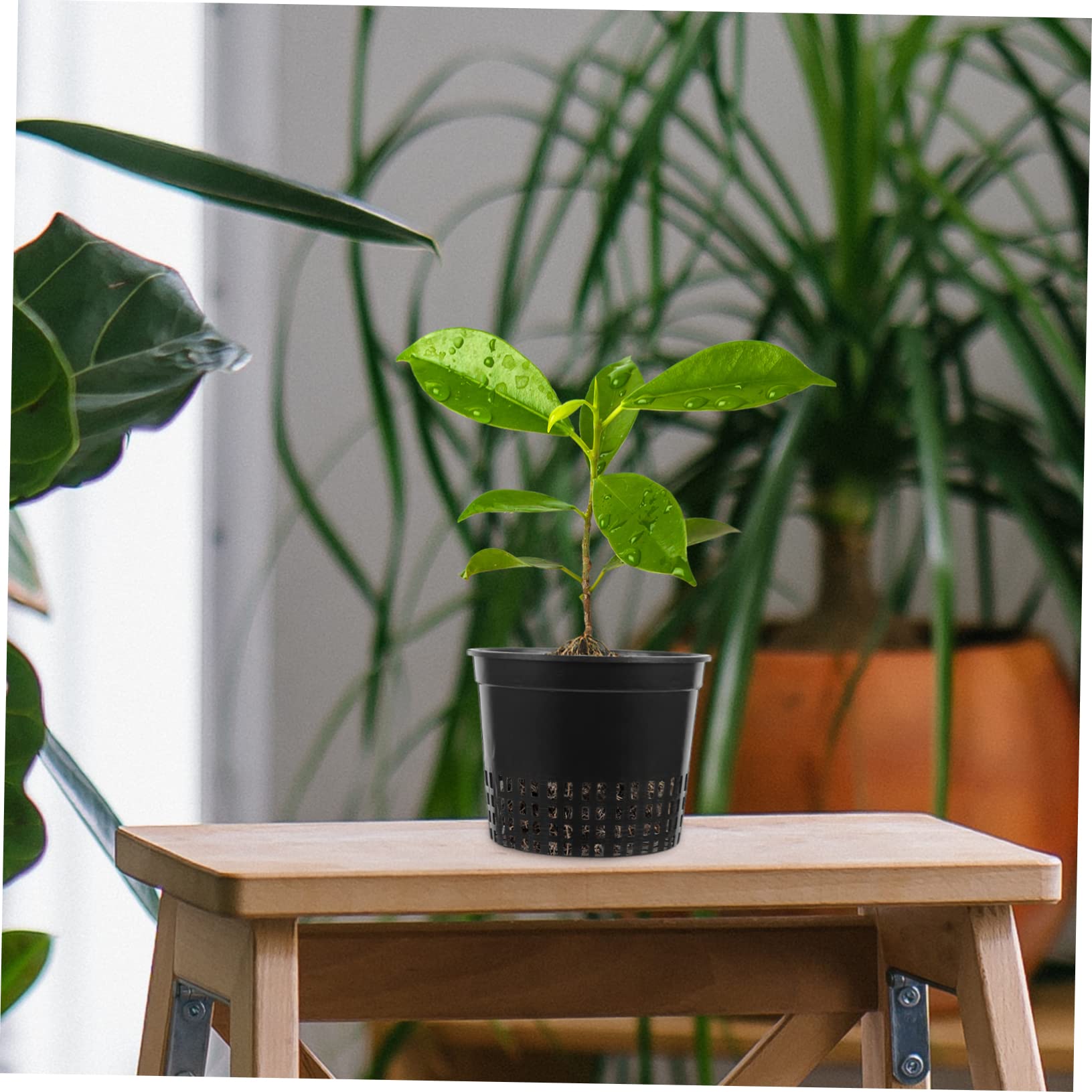 Macetas hidropónicas de plástico para Cultivo hidropónico, 10 Unidades, Redondas, de Malla, para Verduras, Plantas, orquídeas, Cultivo Transpirable, Invernadero, jardín, Acuario, Color