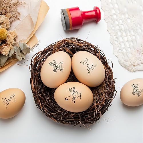 Miniatura 9 de Sellos de huevos personalizados para huevos frescos, sello de pollo de goma pertsonalizado con tu propio diseño, marcado para huevos frescos de