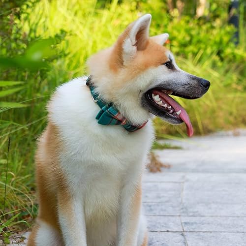 Miniatura 10 de Faleela - Collar de perro suave y cómodo, con corbatín desmontable y ajustable, para mascotas pequeñas, medianas y grandes (L, rojo)