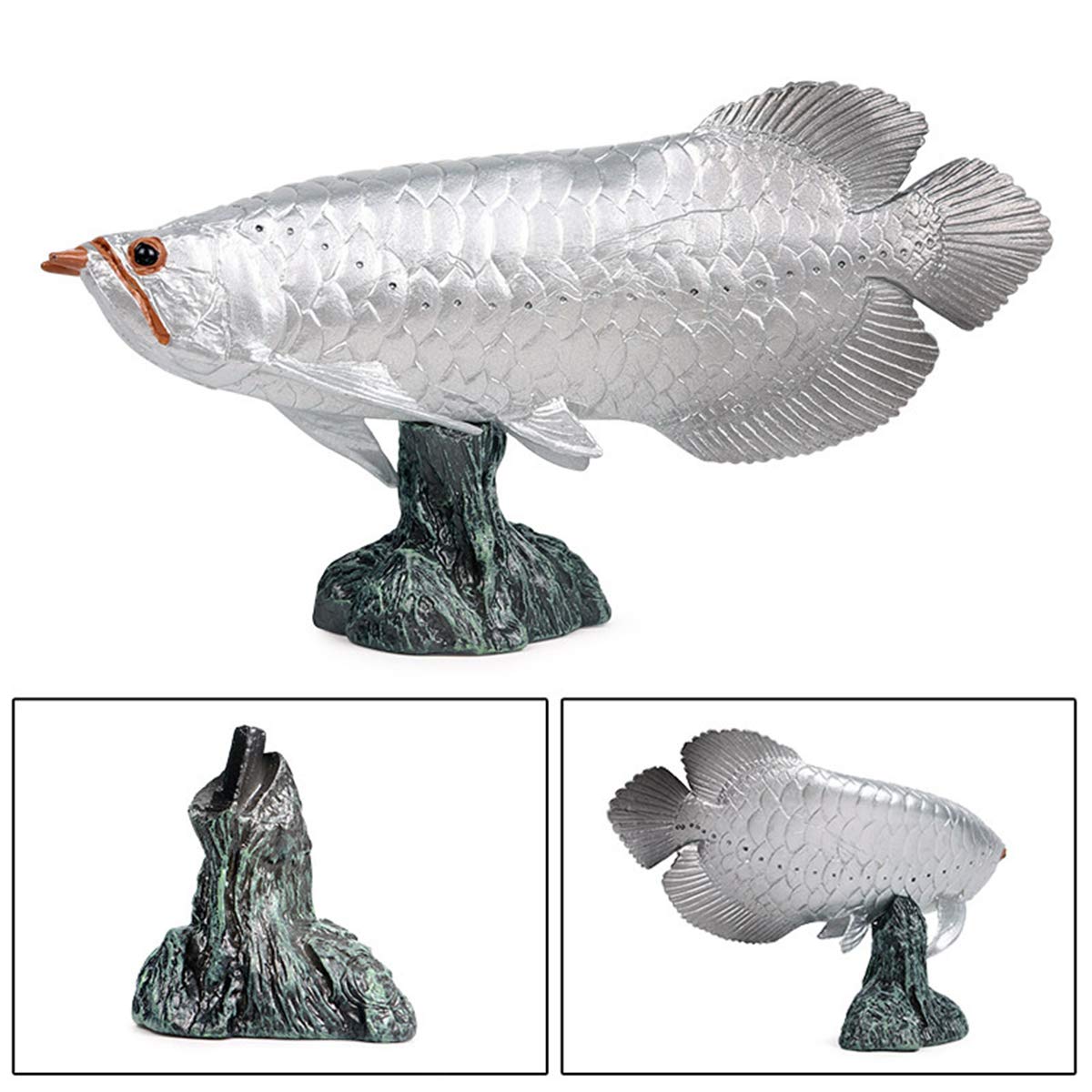 Amazon.co.jp: Eden Toys アジアアロワナ 紅龍 龍魚 淡水魚 プラモデル