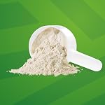 Protéine germée, sans saveur, 1 kg | Végane, à base de plantes, biologique, sans gluten, beige