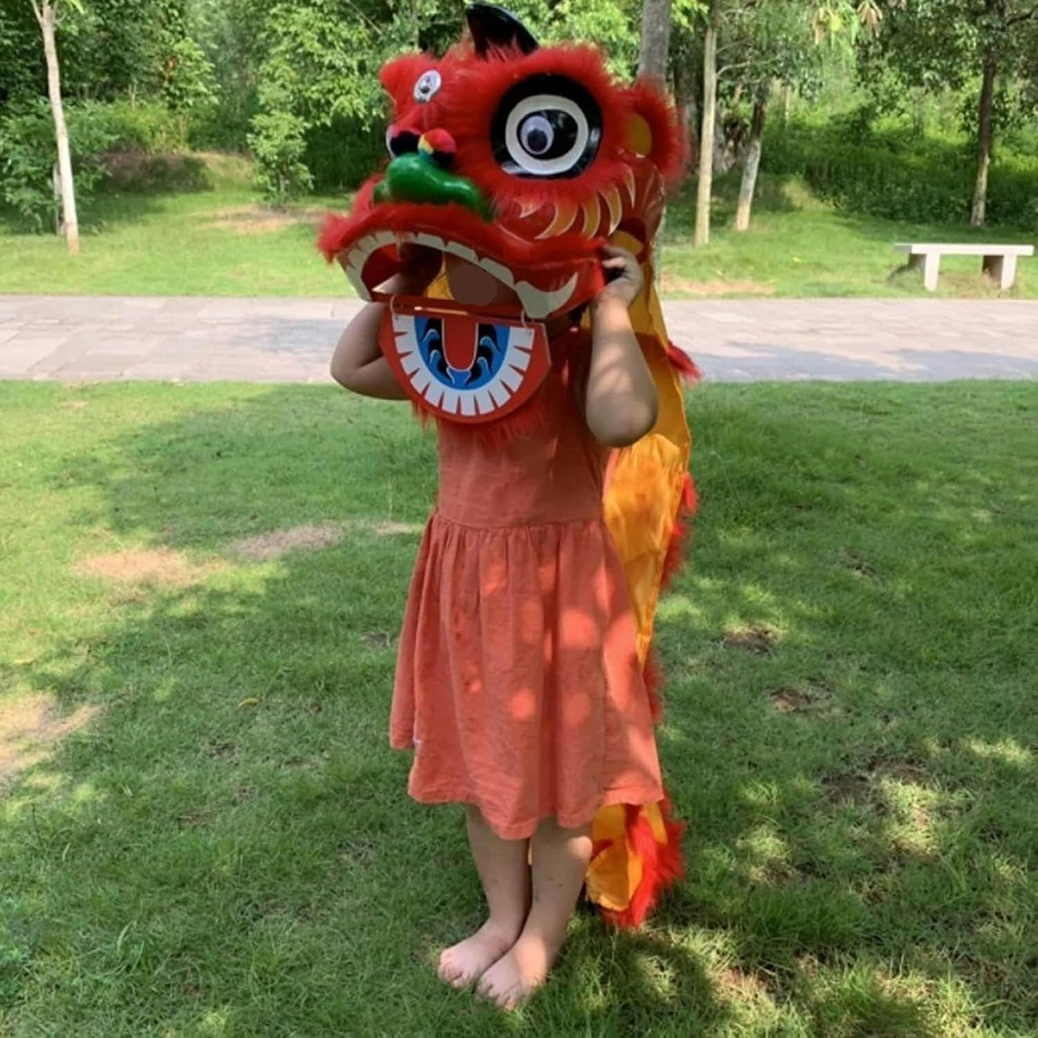CHAOMIN Mascotte tradizionale della testa di danza del leone cinese for spettacolo personale, puntello di danza del leone in lana da 9 pollici