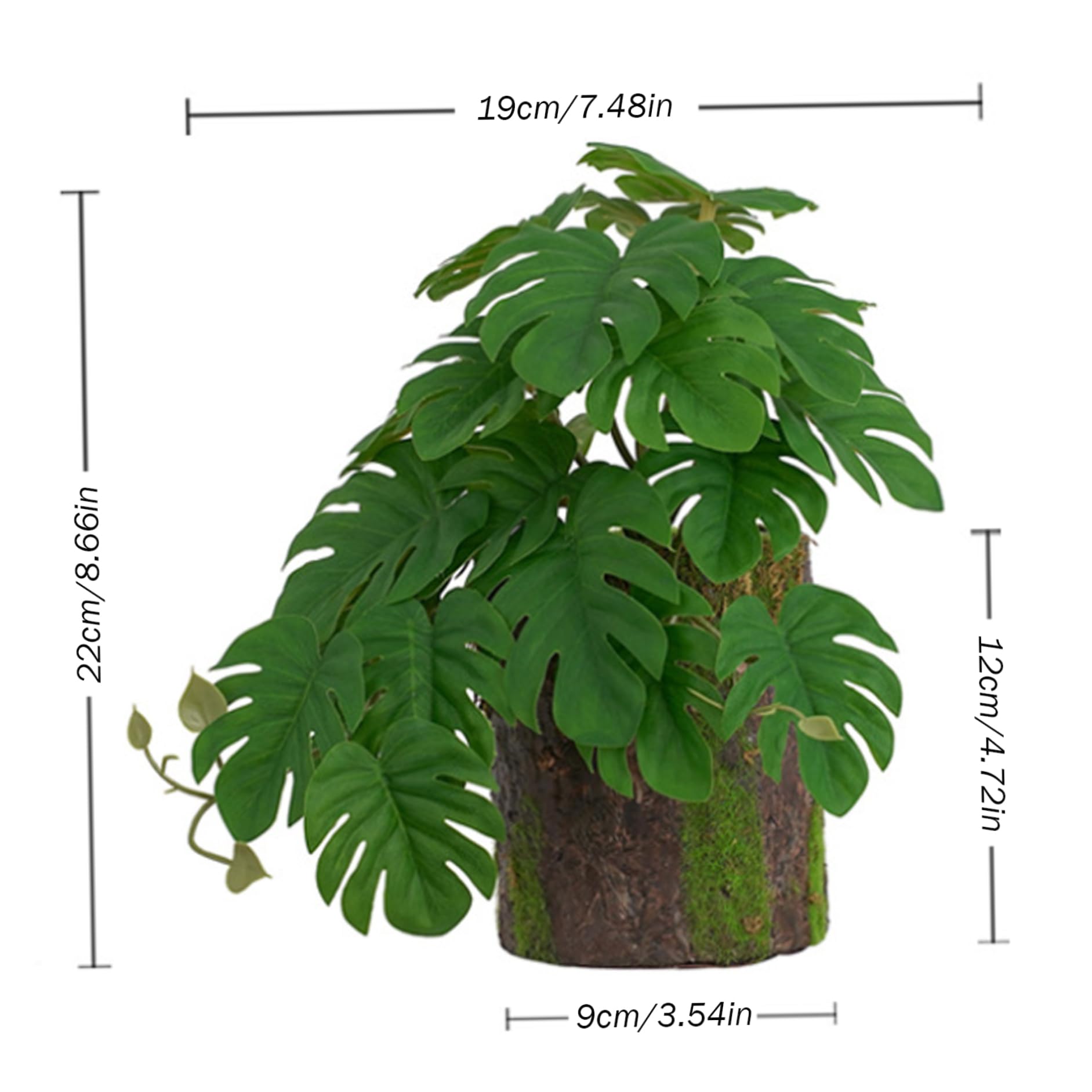 Plantes de Terrarium, Plantes Reptiles Fausse Plante de monstrea avec décoration de souche d'arbre