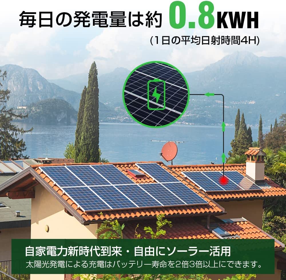 Amazon | LVYUAN(リョクエン) [リン酸鉄リチウム電池 充電可能 200W