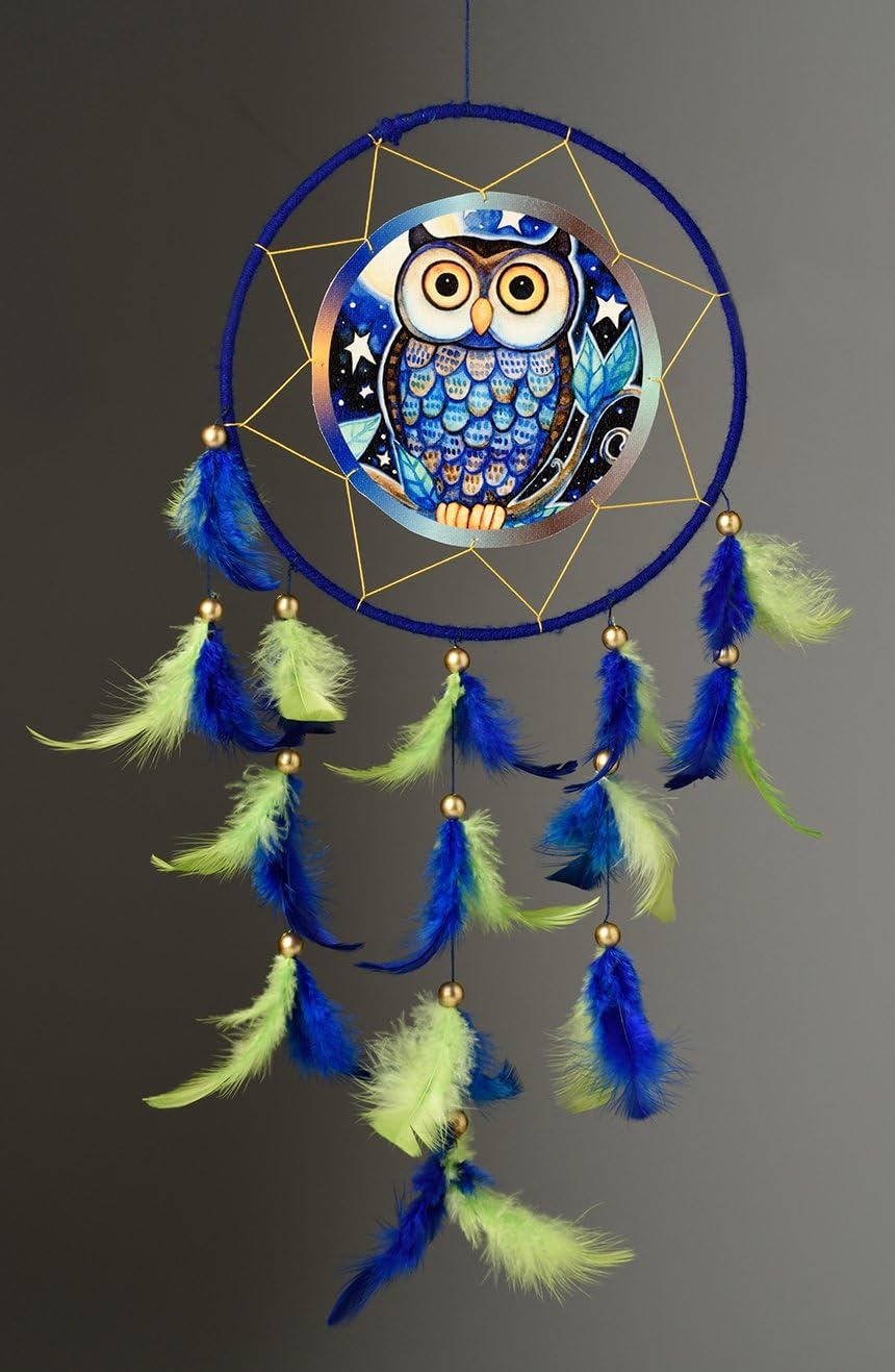 Rooh Dream Catcher ~ Canvas Owl ~ Handmade hangings (Can be Used as Home Decor, Gift, Wall Hangings, Meditation Room, Yoga Temple, Wind Chime & Car Hanging)
